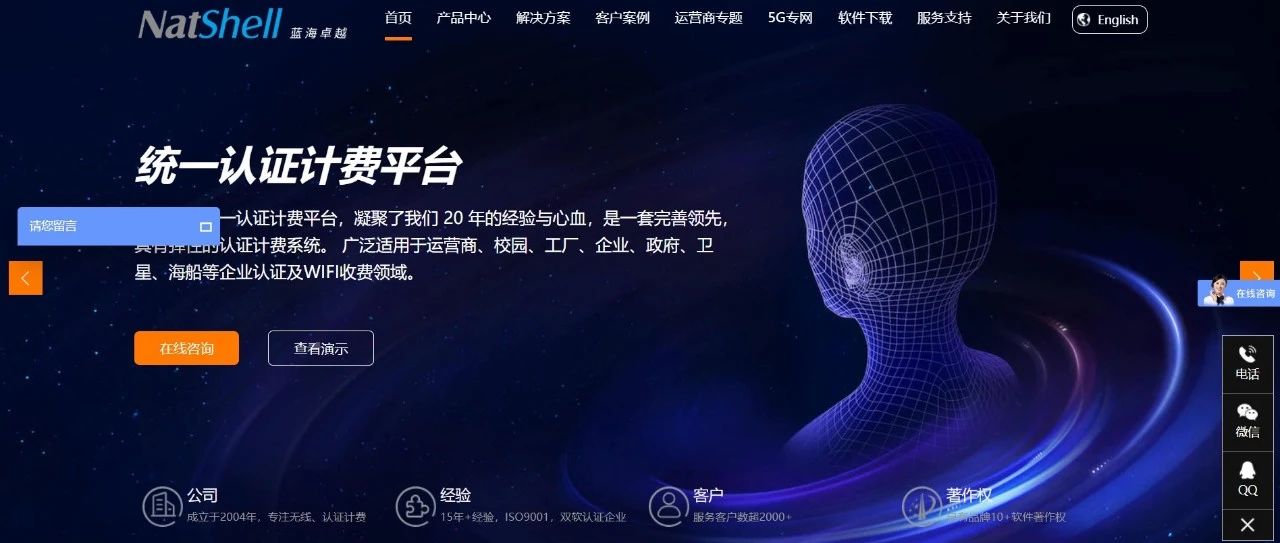 图1